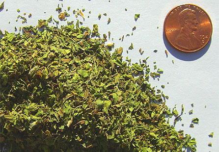 American Bulk Herbs Turkish  Mint Cut and Sift