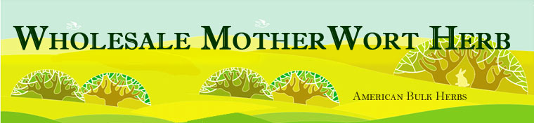 Wholesale Motherwort Herb American Bulk Herbs